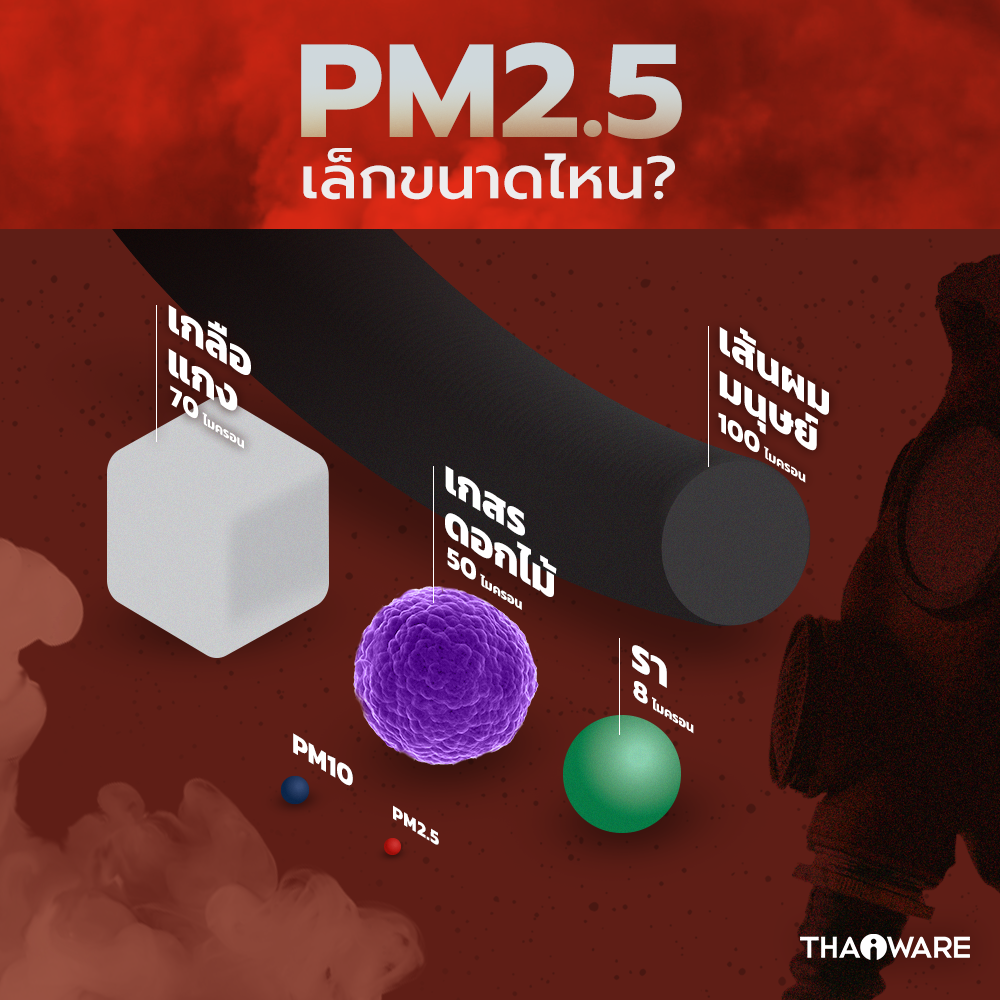 ฝุ่น pm 2.5 ผลกระทบต่อสิ่งแวดล้อมอย่างไร