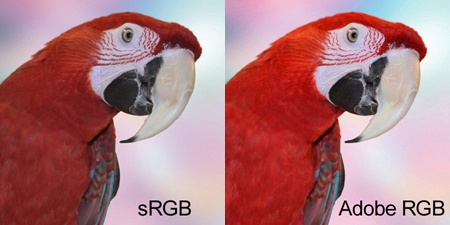 ความแตกต่างของ sRGB และ Adobe RGB