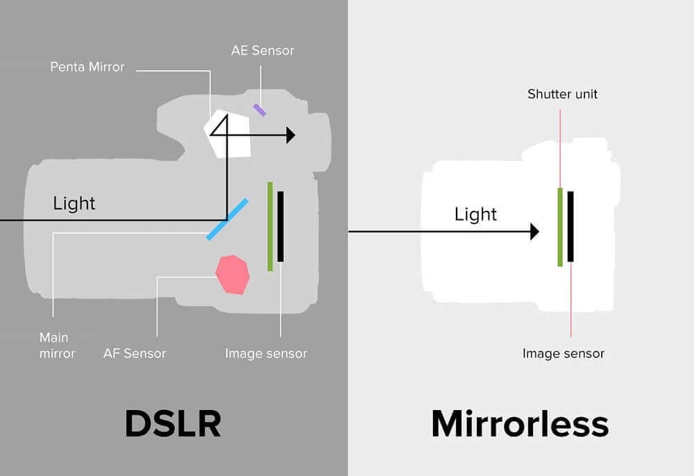 กล้อง Mirrorless กับ กล้อง DSLR แตกต่างกันอย่างไร ? เลือกใช้แบบไหนดี